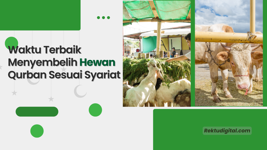 Waktu Terbaik Menyembelih Hewan Qurban Sesuai Syariat Waktu Terbaik Menyembelih Hewan Qurban