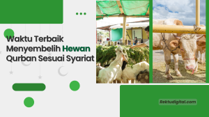 Waktu Terbaik Menyembelih Hewan Qurban