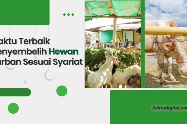 Waktu Terbaik Menyembelih Hewan Qurban