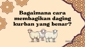 Bagaimana cara membagikan daging kurban yang benar