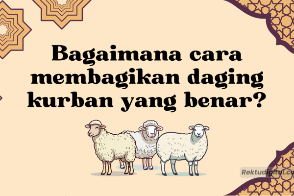 Bagaimana cara membagikan daging kurban yang benar? Bagaimana cara membagikan daging kurban yang benar