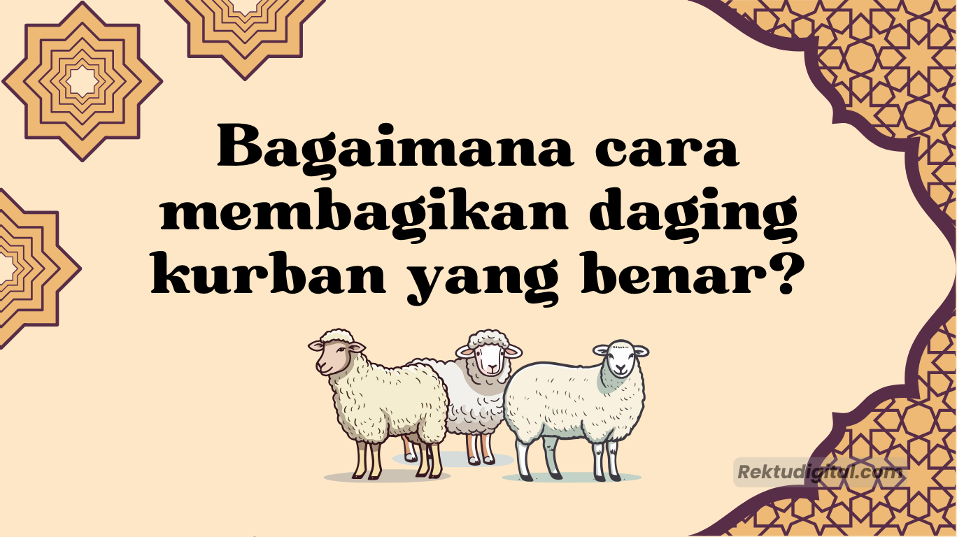 Bagaimana cara membagikan daging kurban yang benar